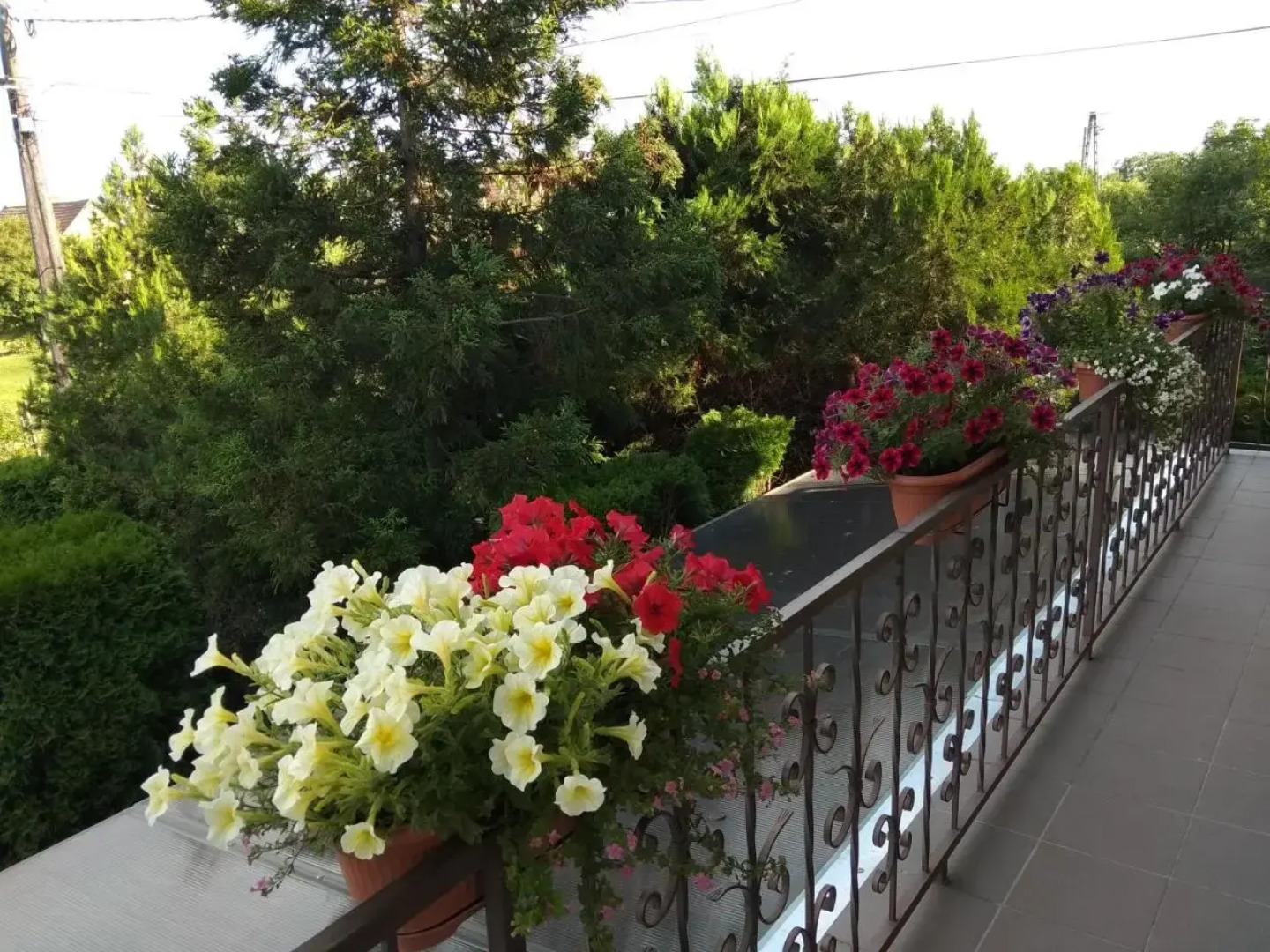 Anna Ilona Vendégház