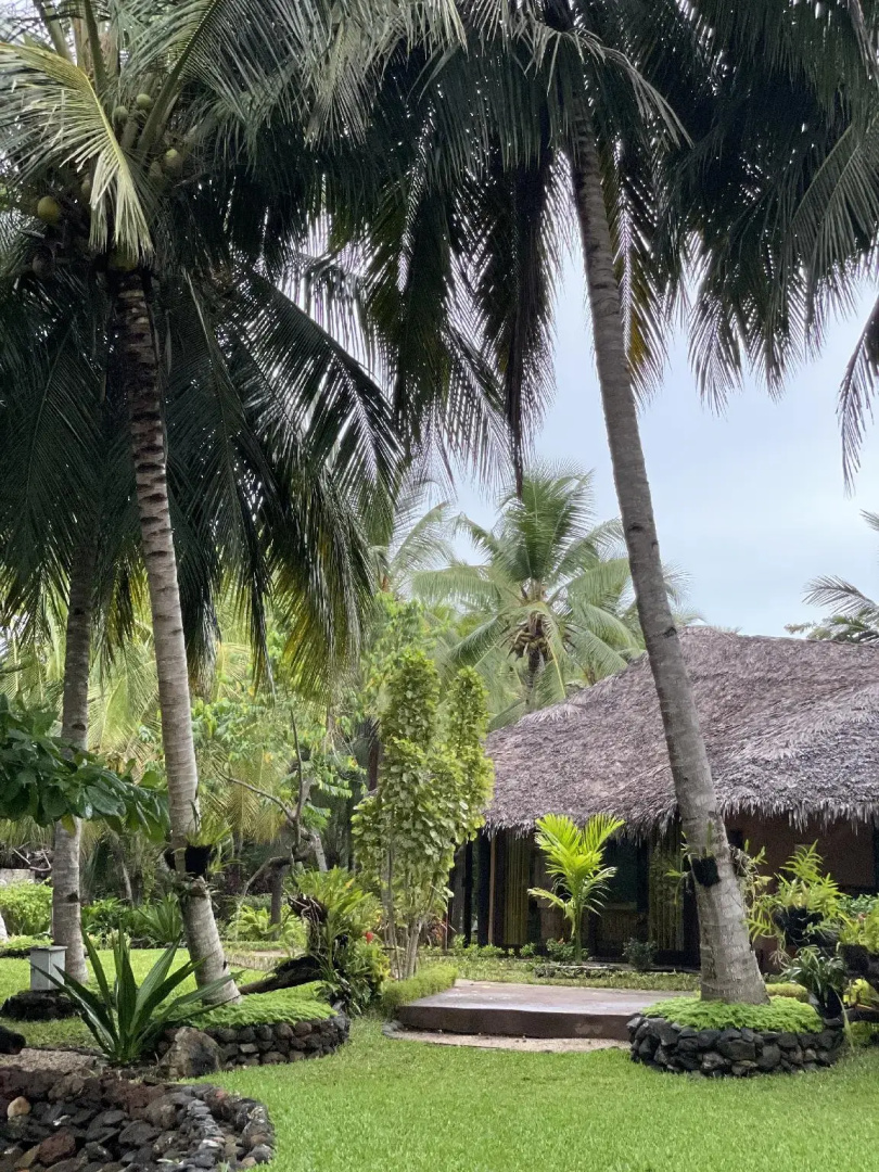 Ravintsara Wellness Hotel