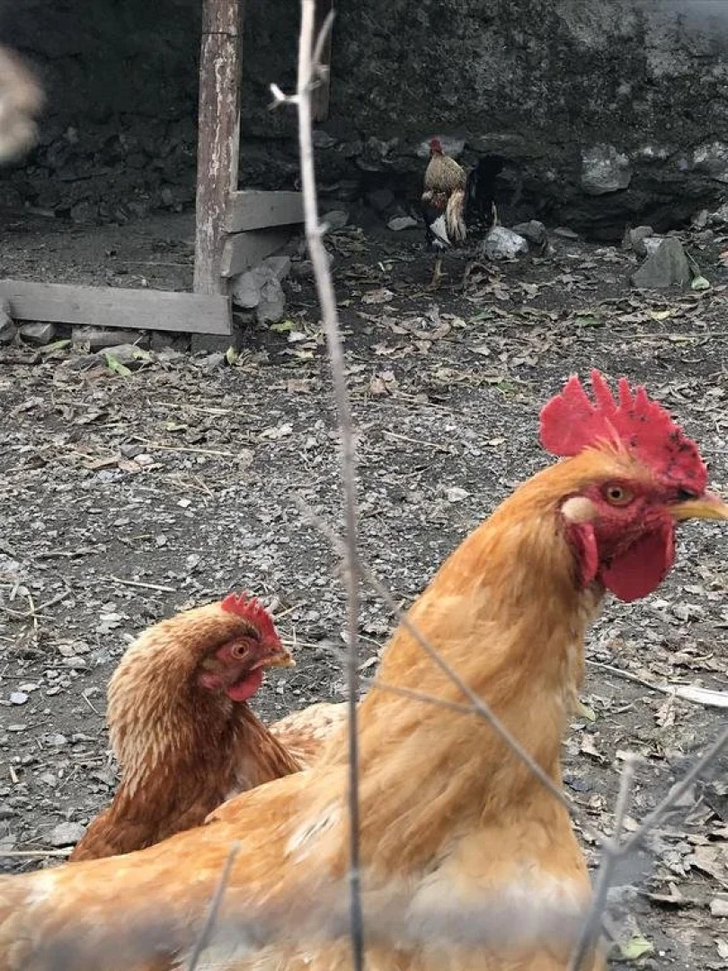 Bucca di mola Turismo rurale San Gaetano