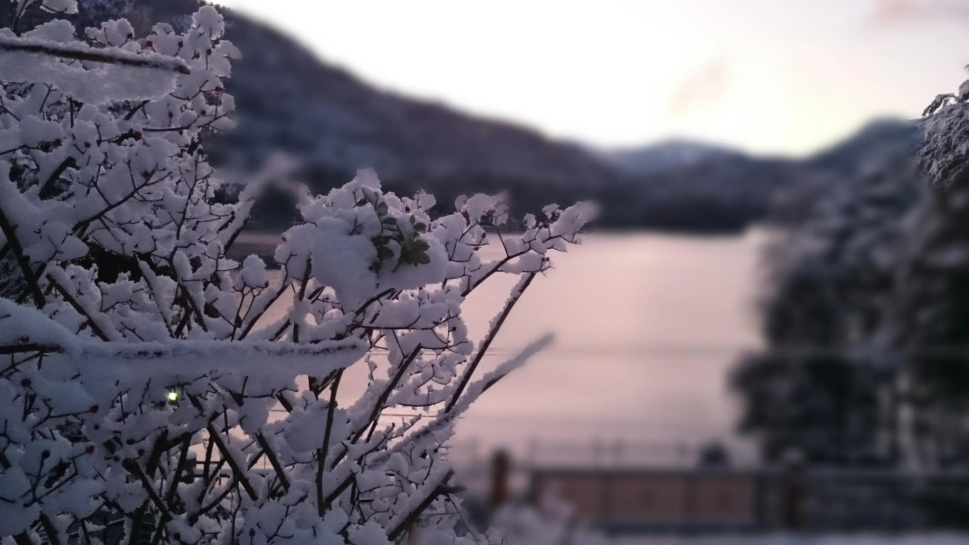 Hosteria El Condado by Nordic