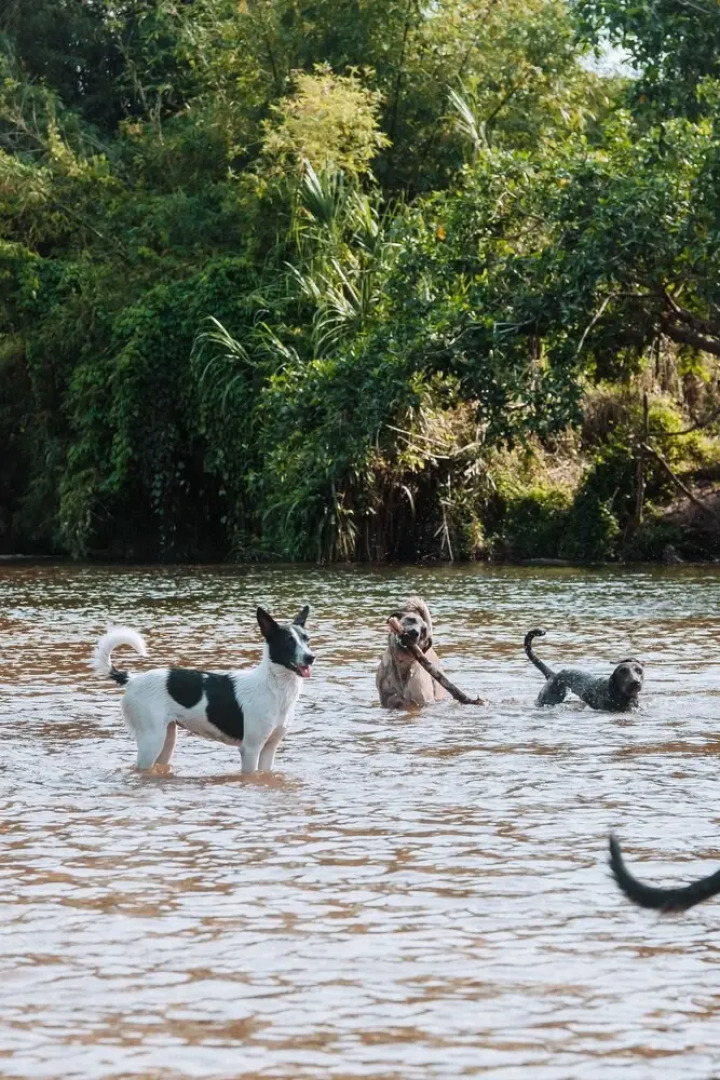 Casa del Pavo Real Boutique Hotel