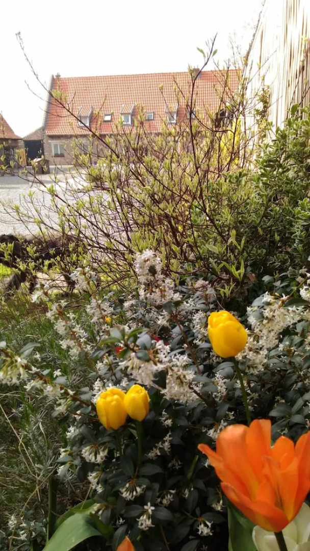 La Ferme de la Papote