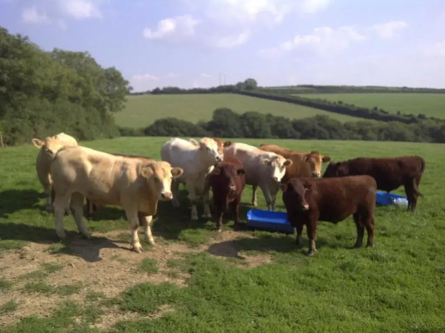 The Barn At Collacott