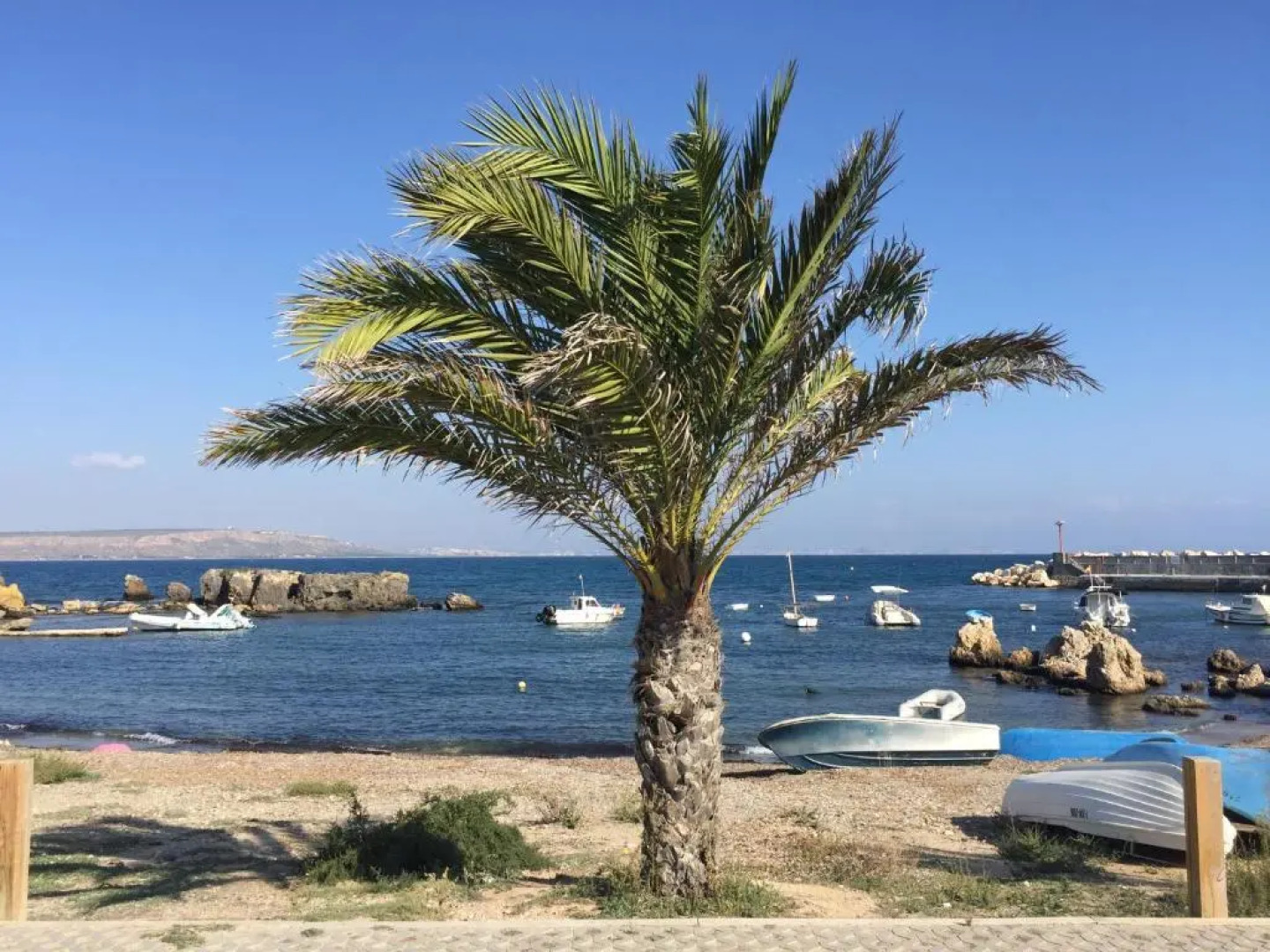 SPLENDIDE F4 ALICANTE Santa Pola