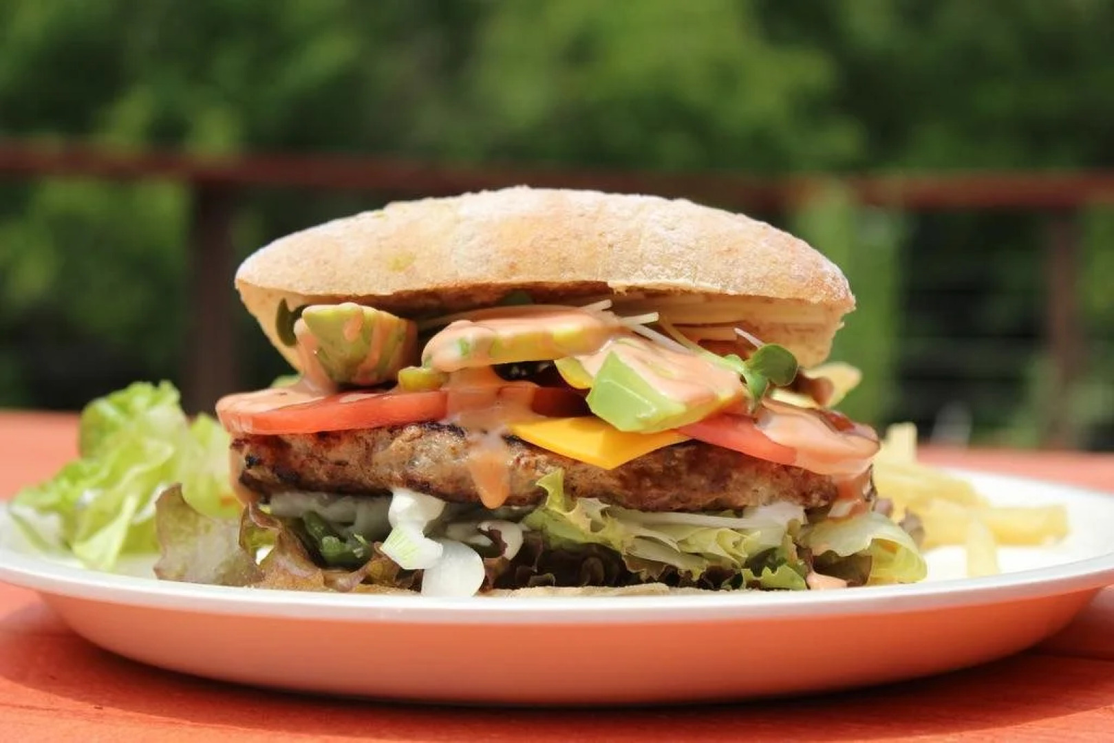 Alpine Lodge - Hostel