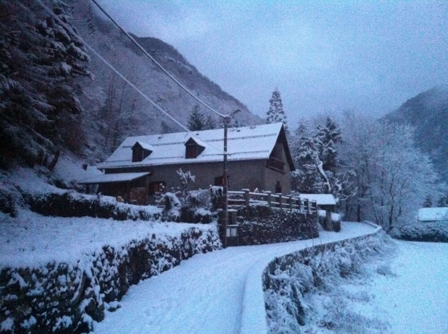 The Dreaming Tree B&B