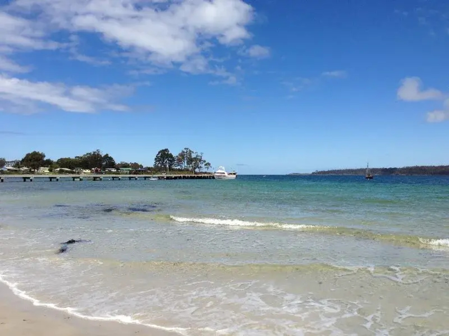 Essentially Tas - Southport