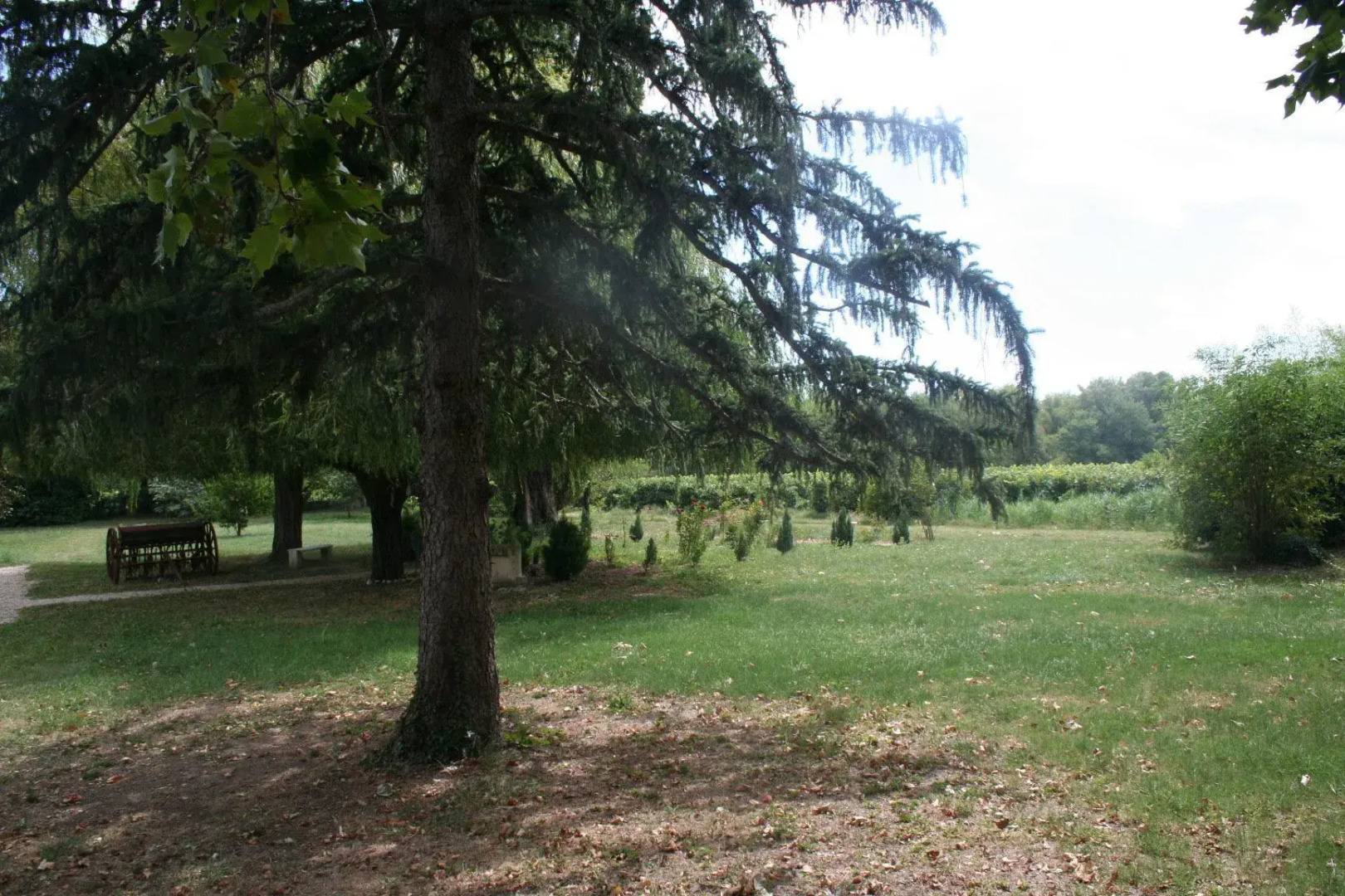 Château Le Martinet