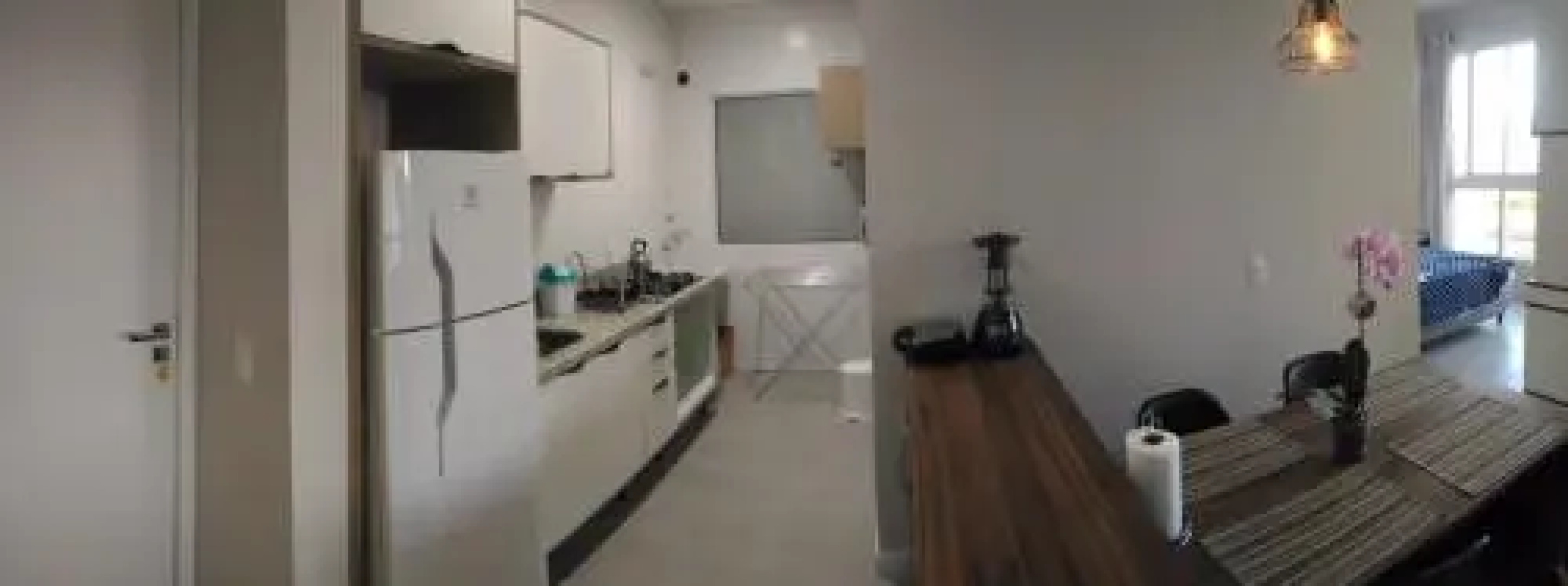 Estudio em Palmas do Arvoredo - Gov. Celso Ramos