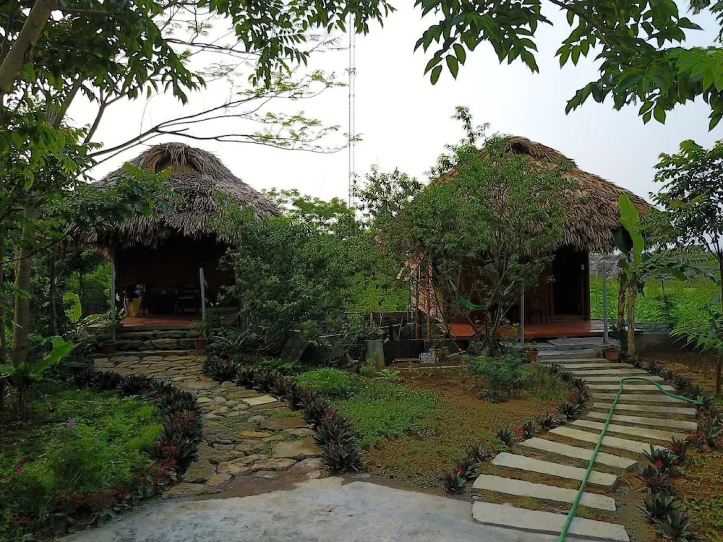 Cuc Phuong Bungalow