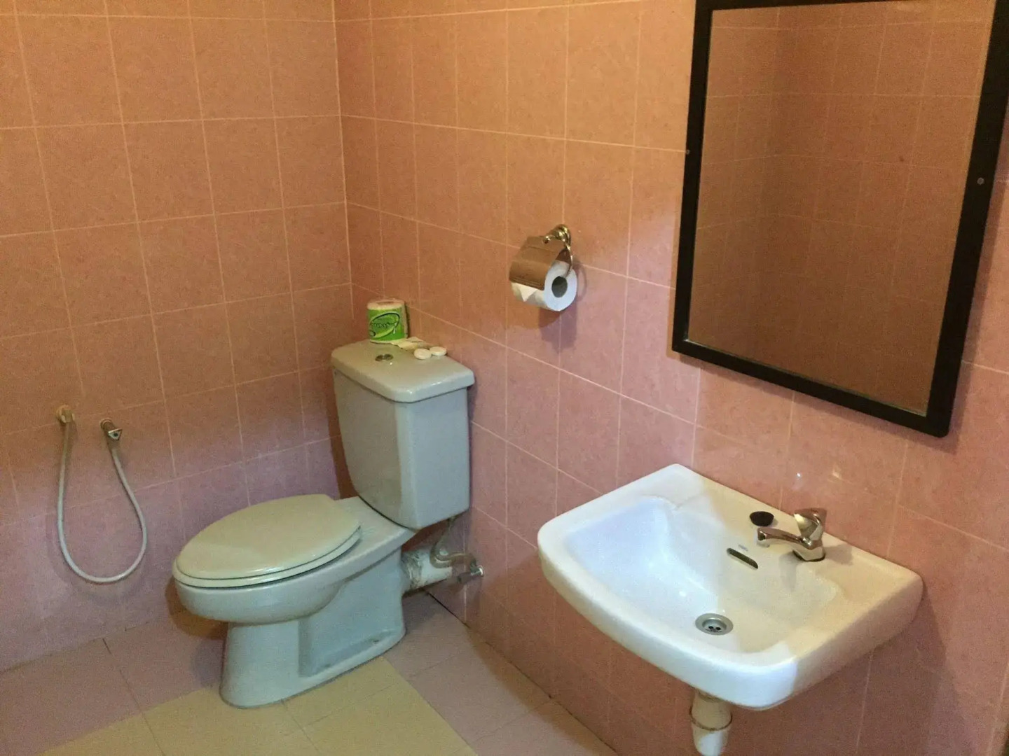 Adina Drive In Motel