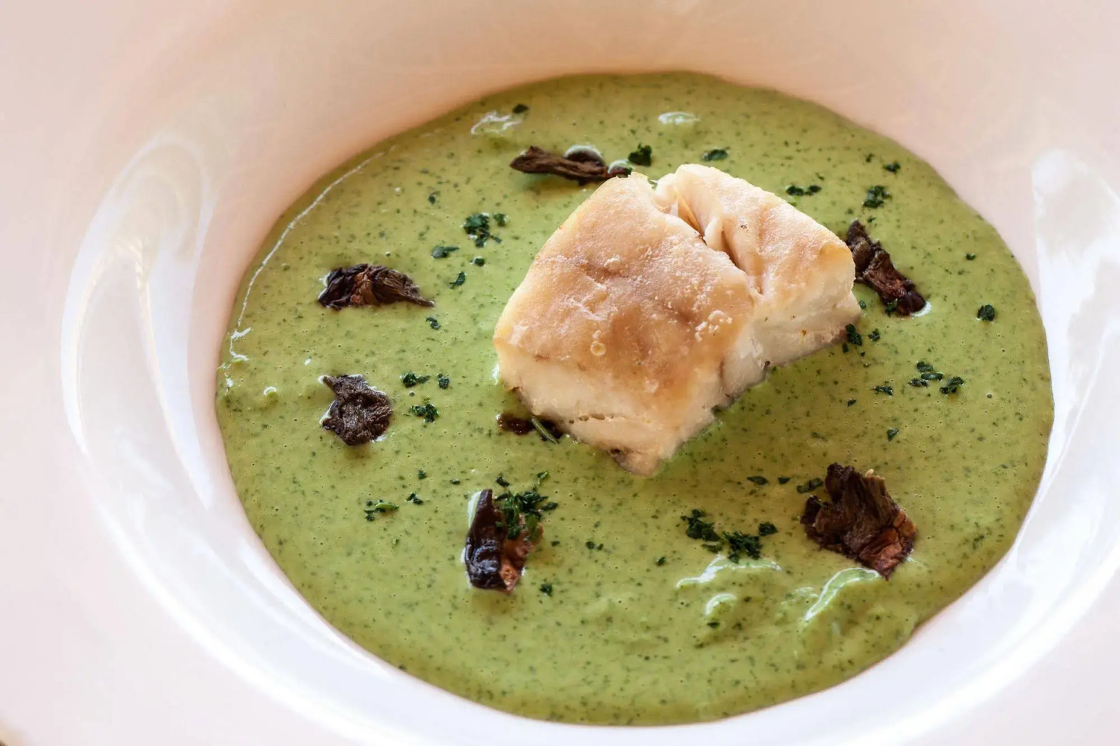 Hotel Villaggio Tudo Bom