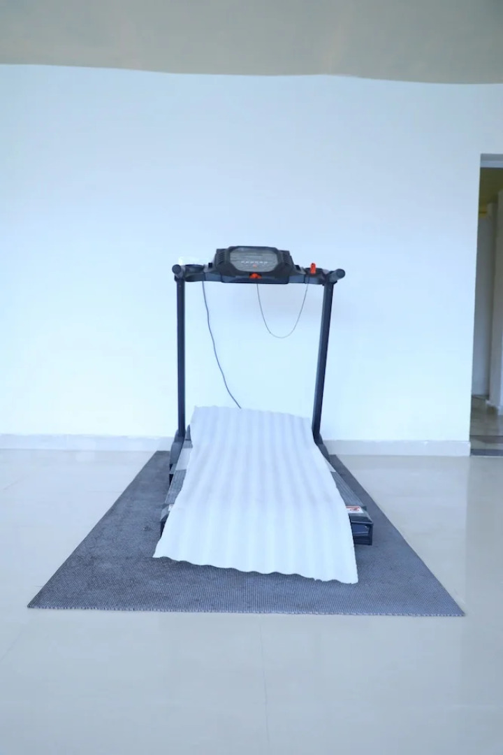 OYO 8367 Hotel The Woodz