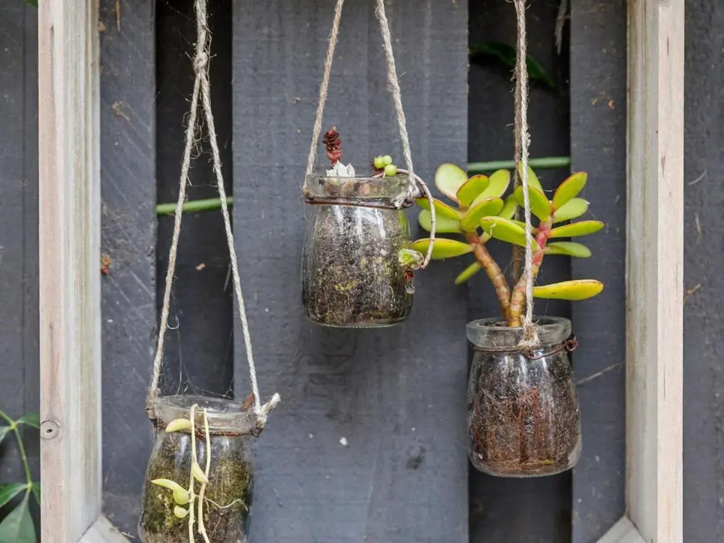 Point Roadknight Paradise Villa 6