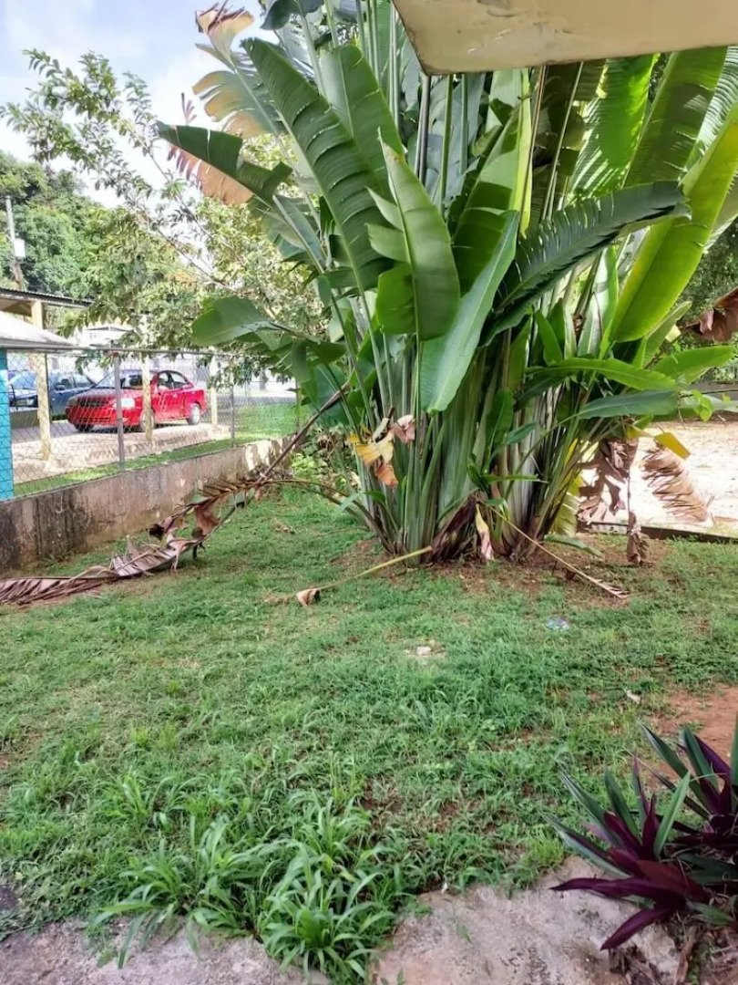 Confort y Relajacion