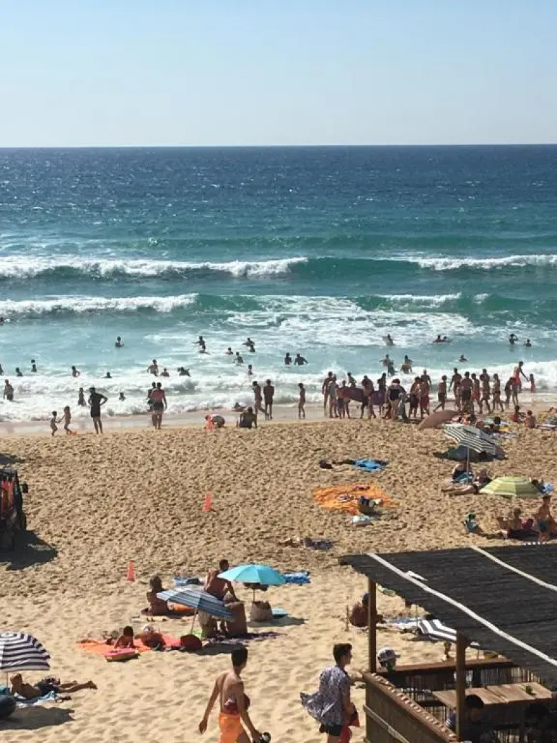 Appartement a 500 metres de l'ocean