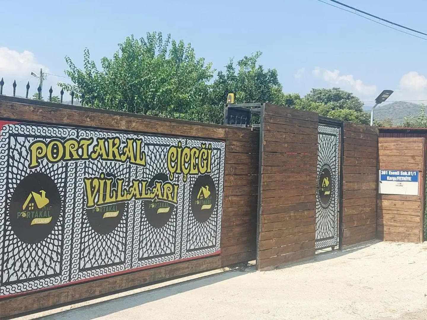 Portakal Çiçeği 1