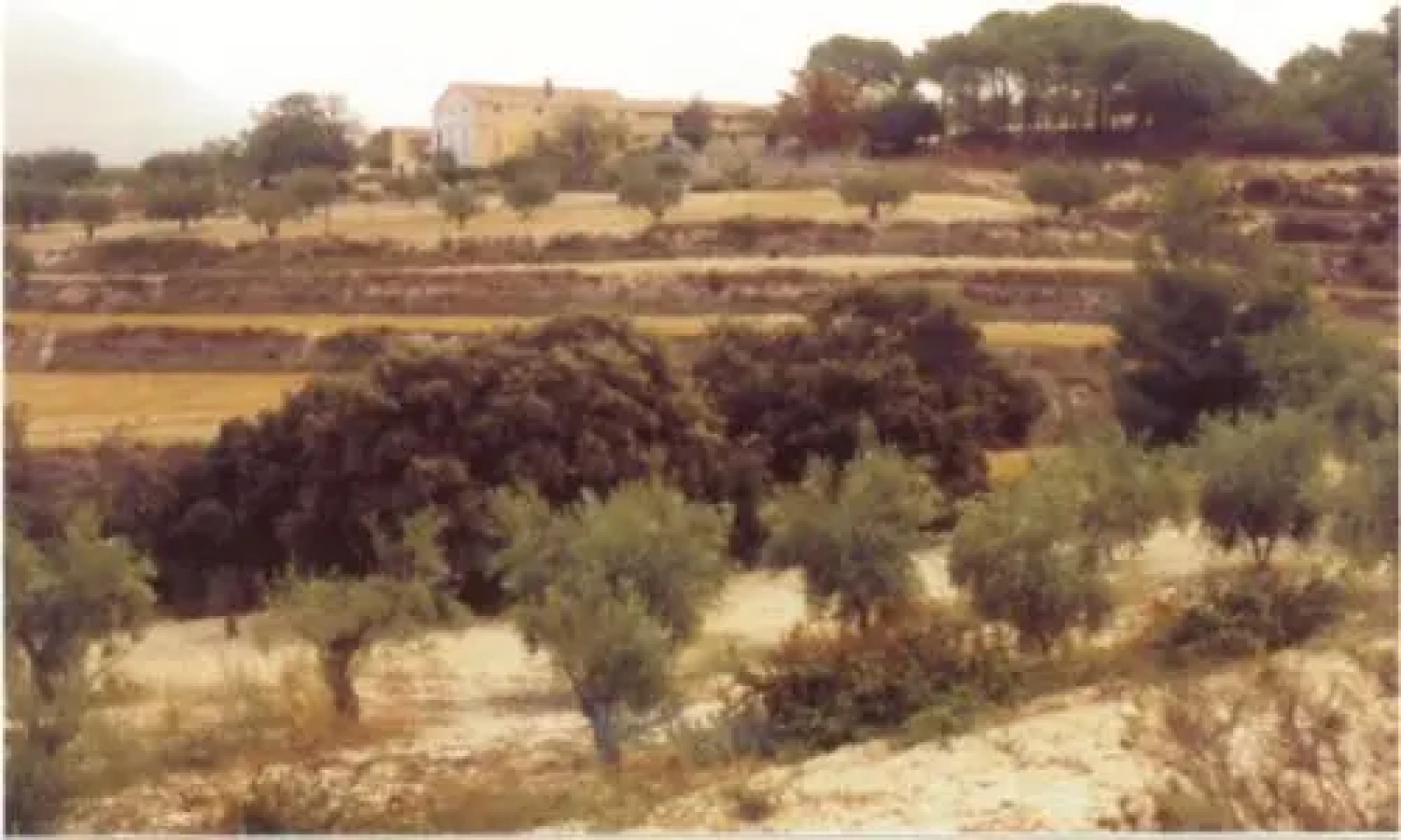 Casa Rural Masía Barbera