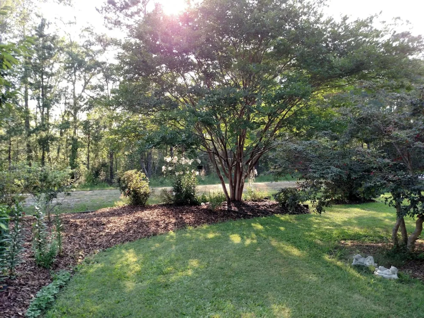 Four Mile Bed & Breakfast