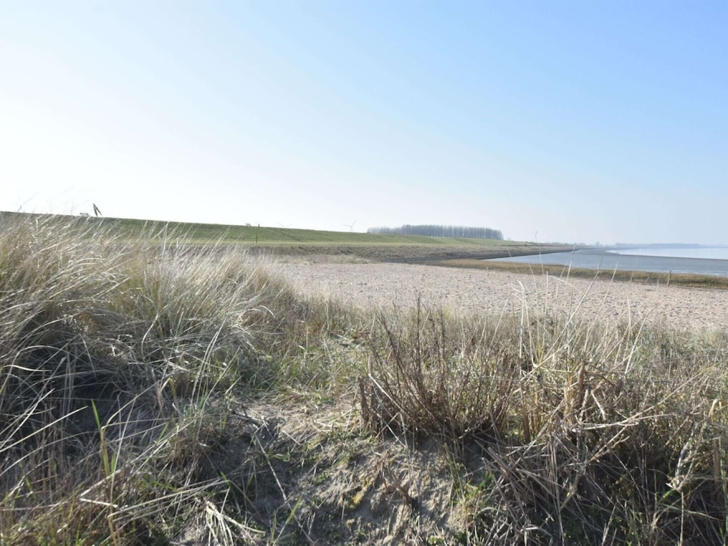 Charming Holiday Home in Biervliet With Private Terrace