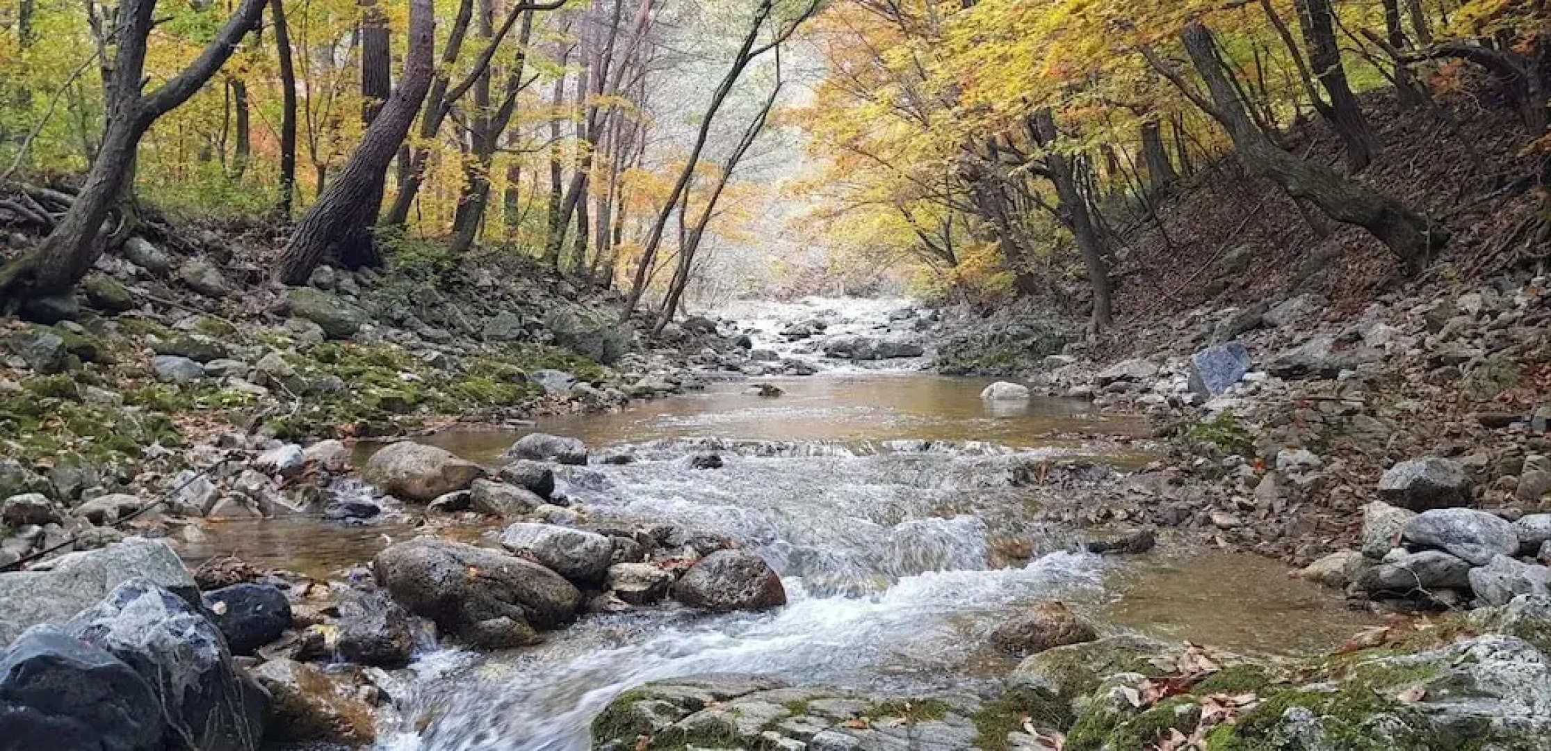 Inje Leenchung Pension