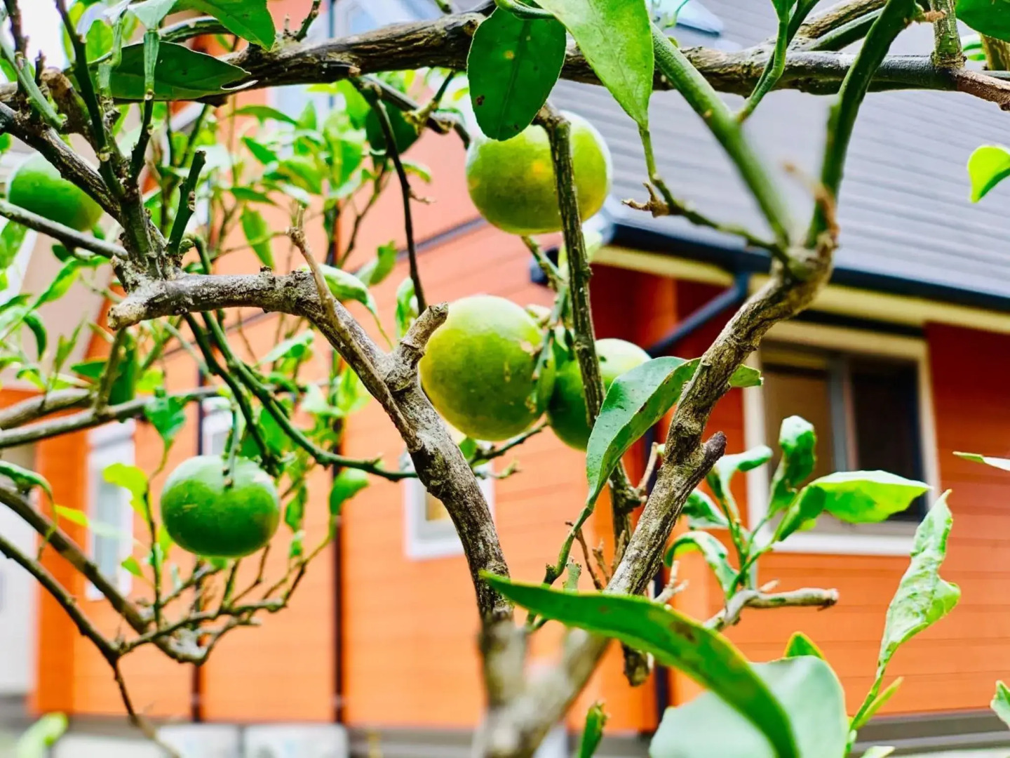 TanTei / Vacation STAY 5504