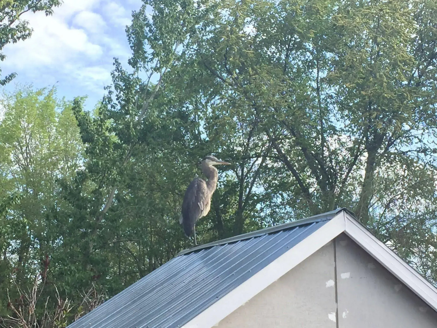 Serenity Stay Bed & Breakfast