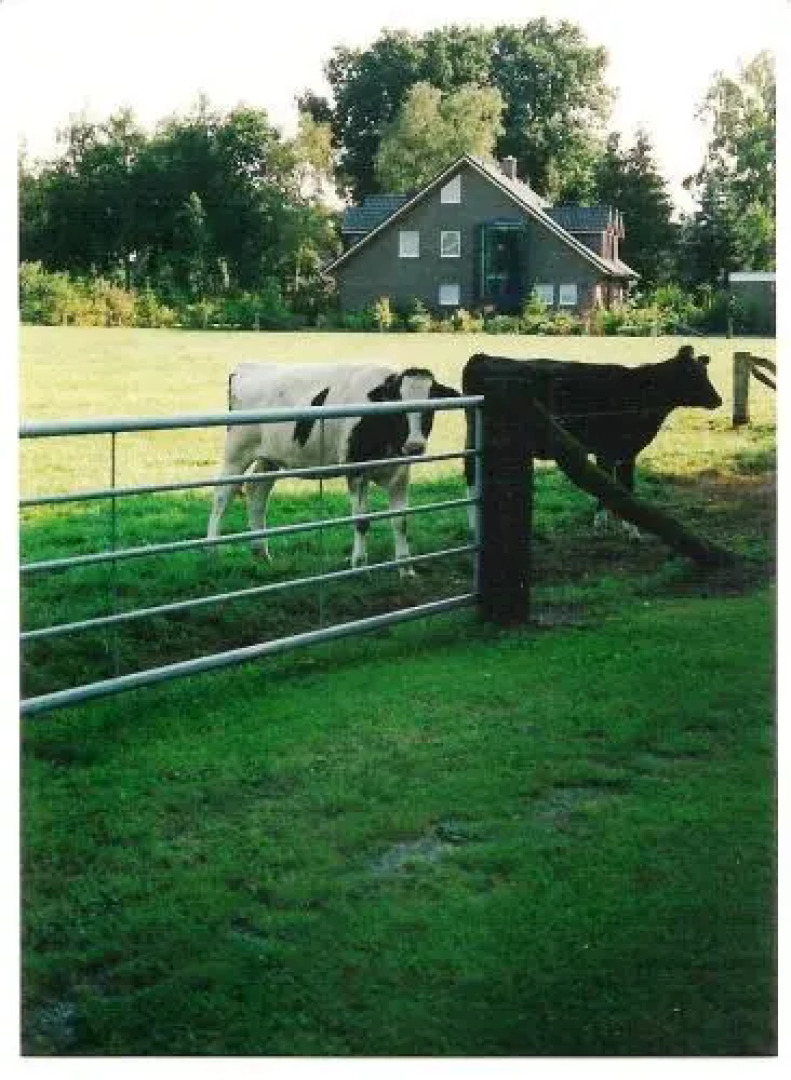 Gästehaus Hankhausen