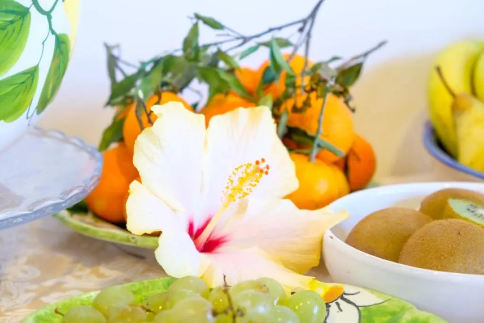 Hotel Villa Bellavista