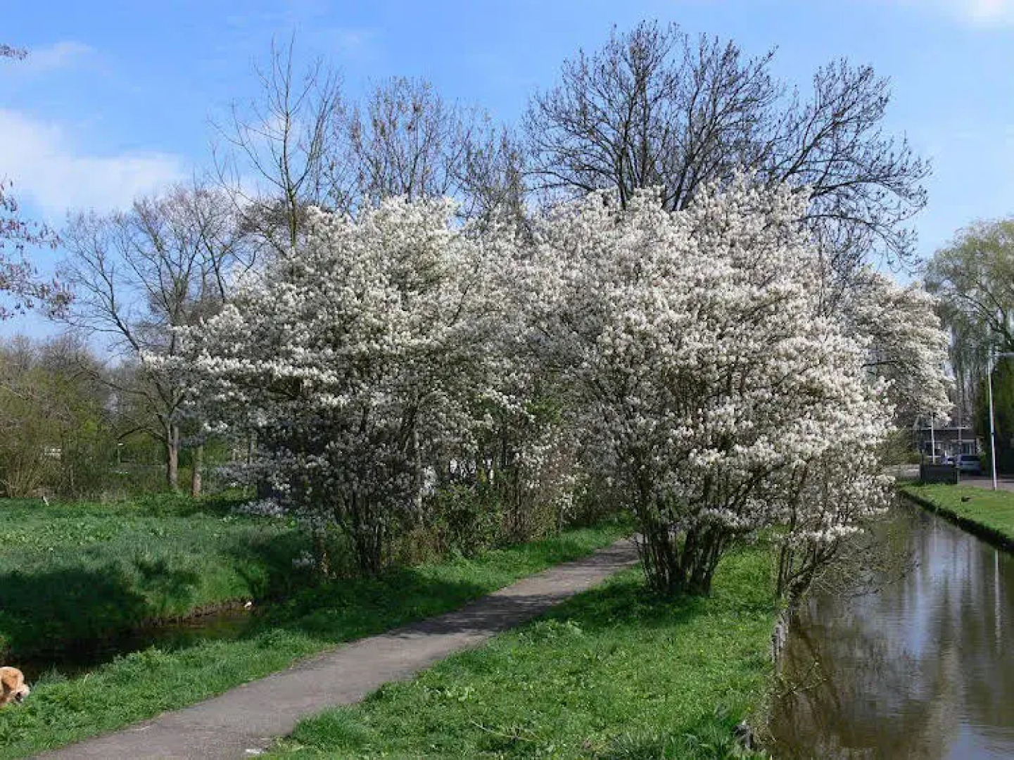 Bed & Breakfast Inndeberm