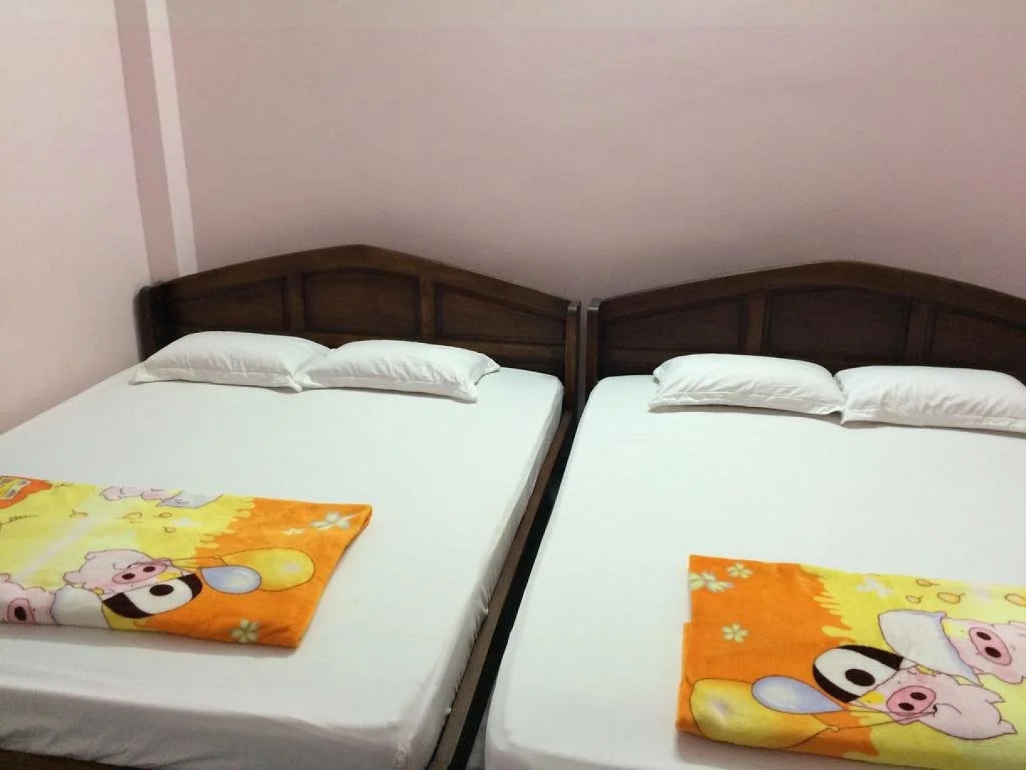 Dieu Hien Guesthouse