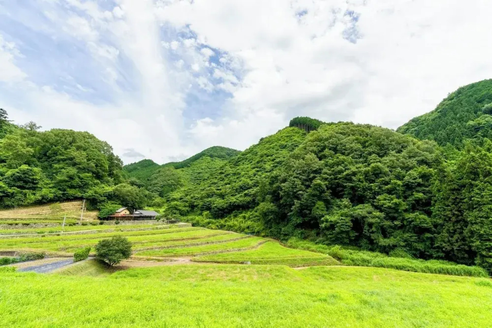 Setouchi Cominca Stays Hiroshima FROSEN