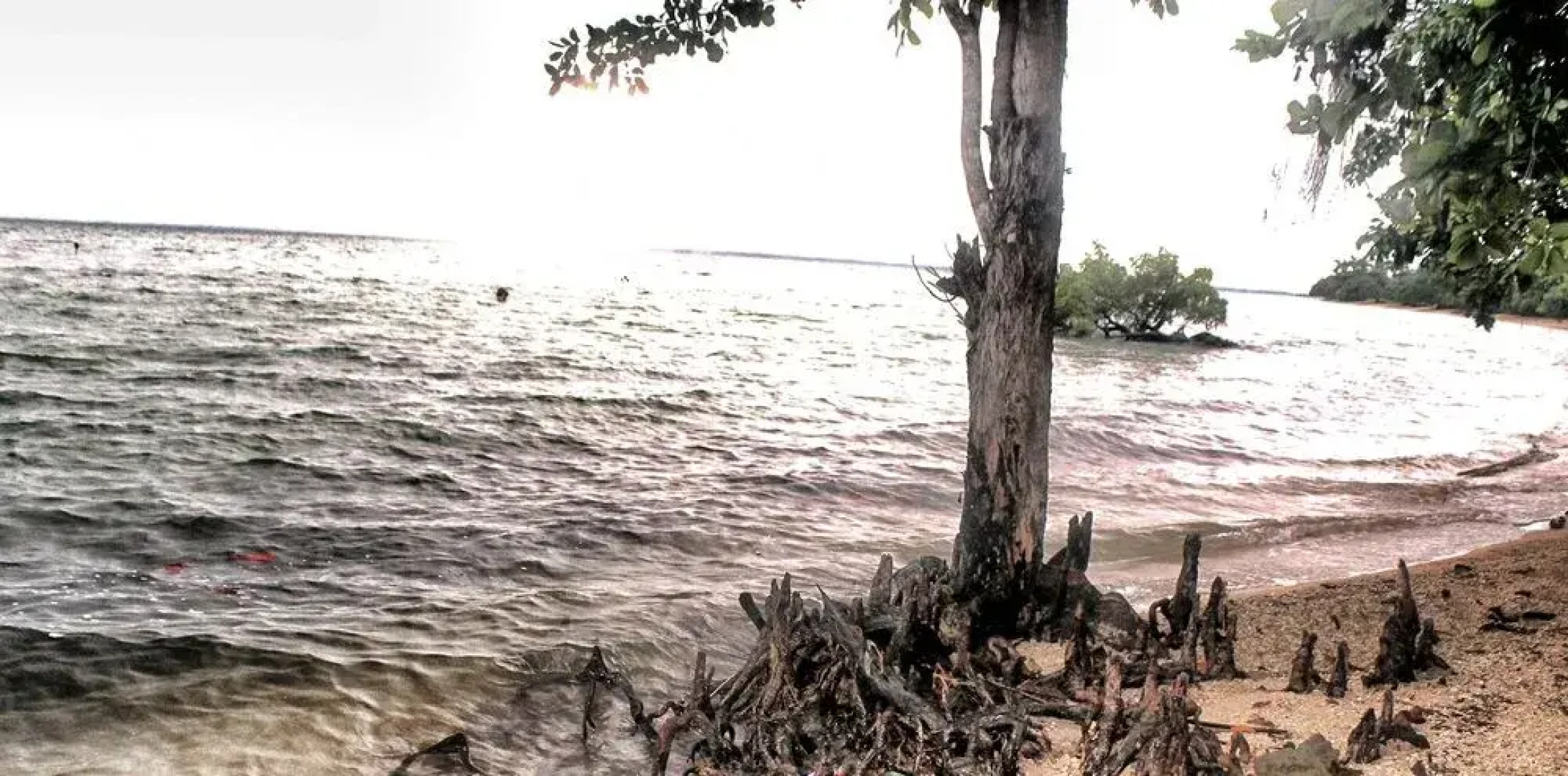 Walai Penyu Resort - Campground