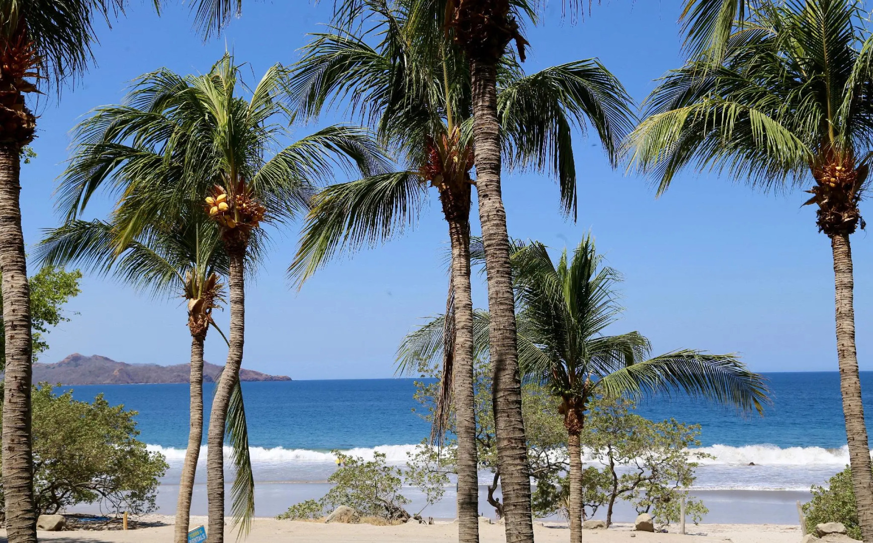 Margaritaville Beach Resort Playa Flamingo