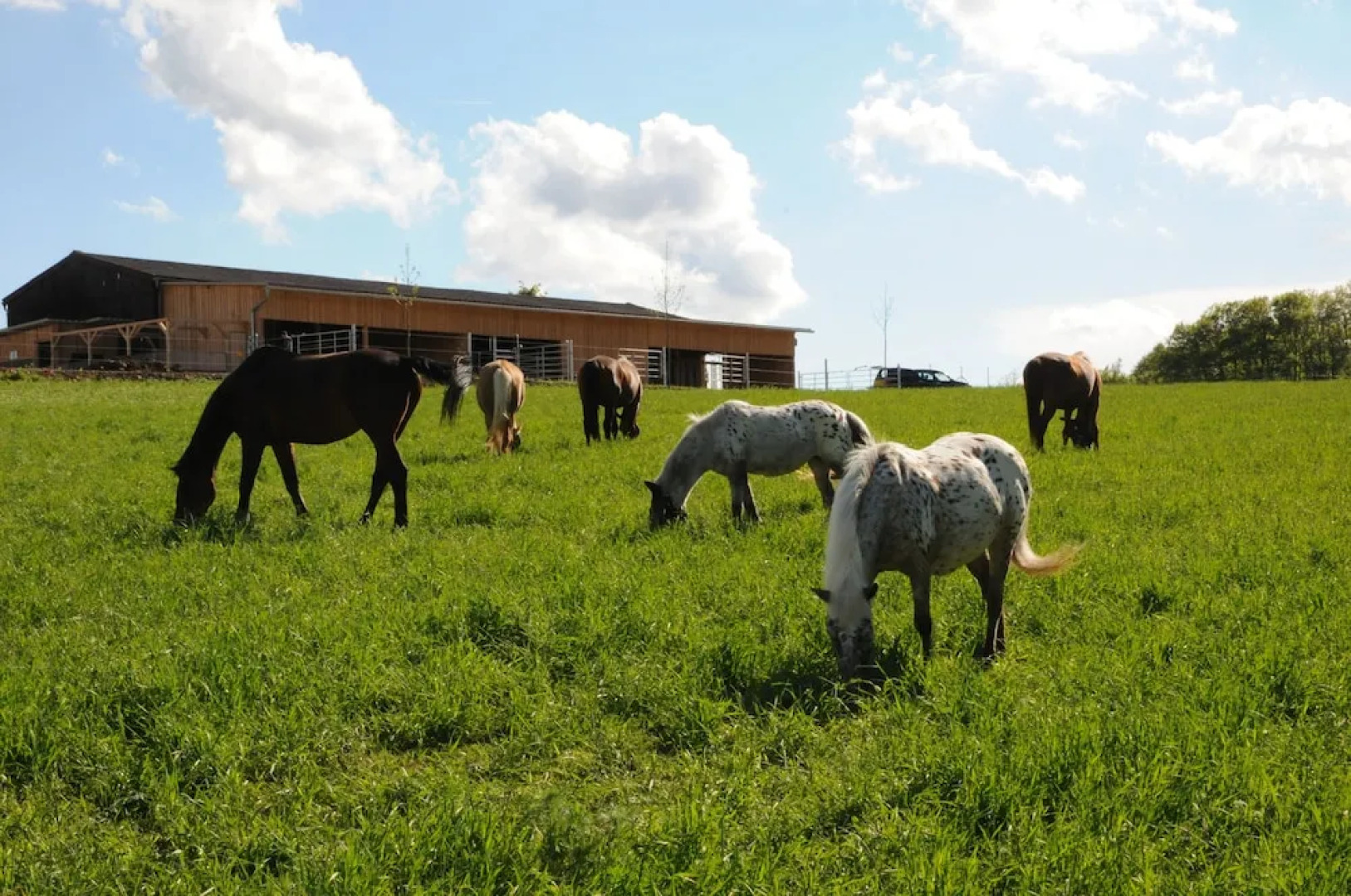 Freizeitreitstall Schammelsdorf