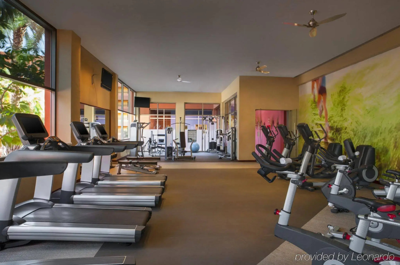 The Westin Los Cabos Resort Villas