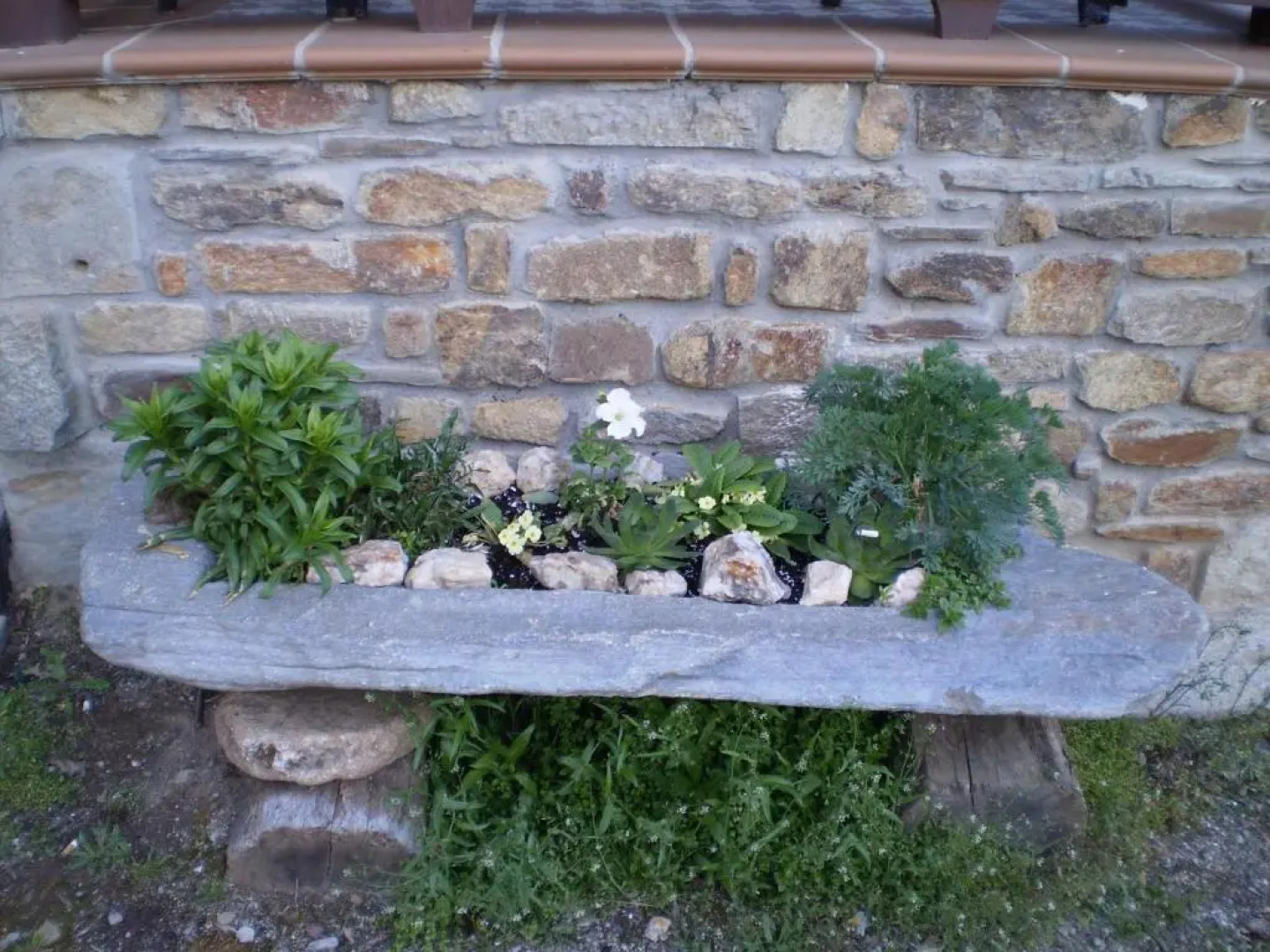 El Molino del Botero