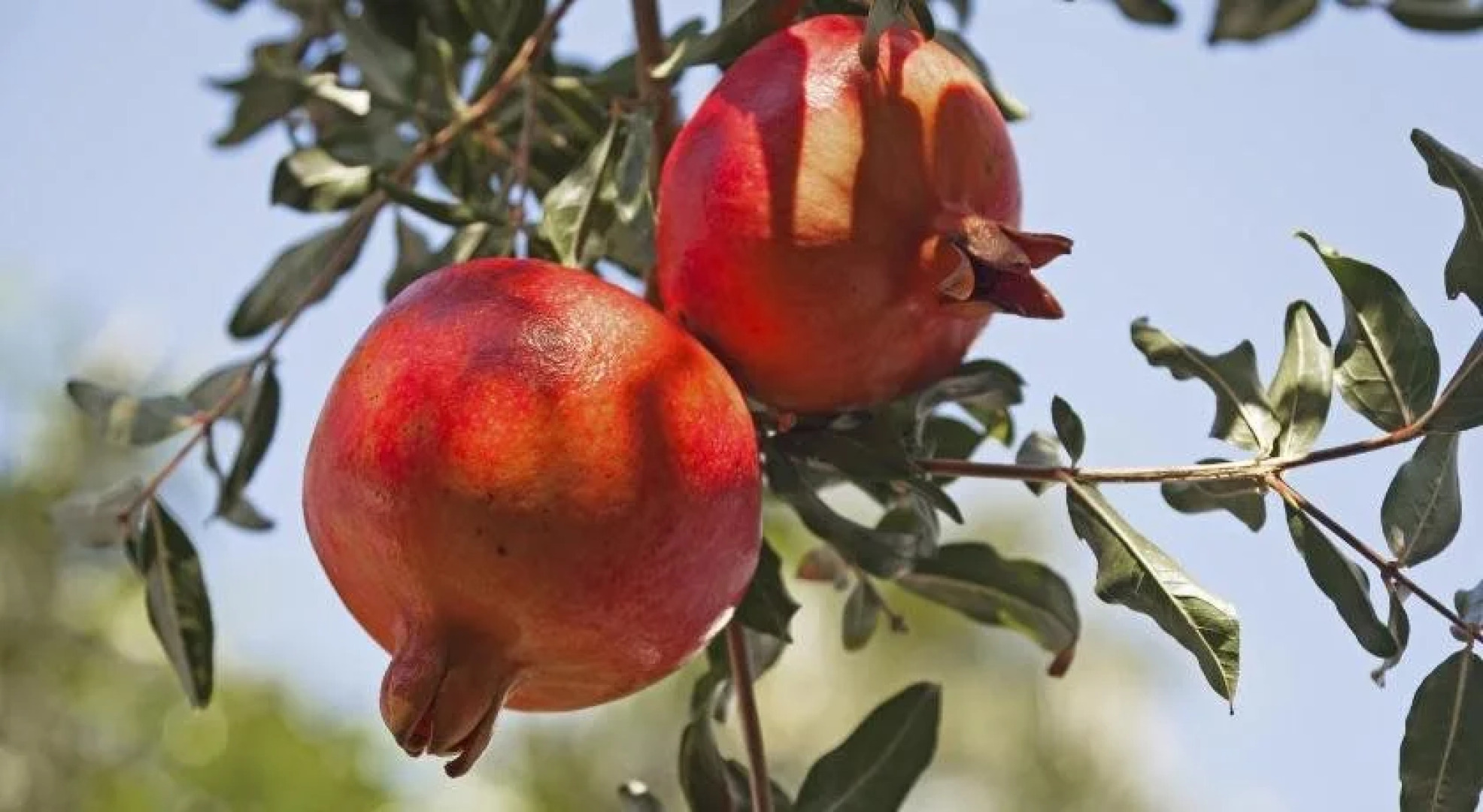 B&B Villa Maria Agrigento