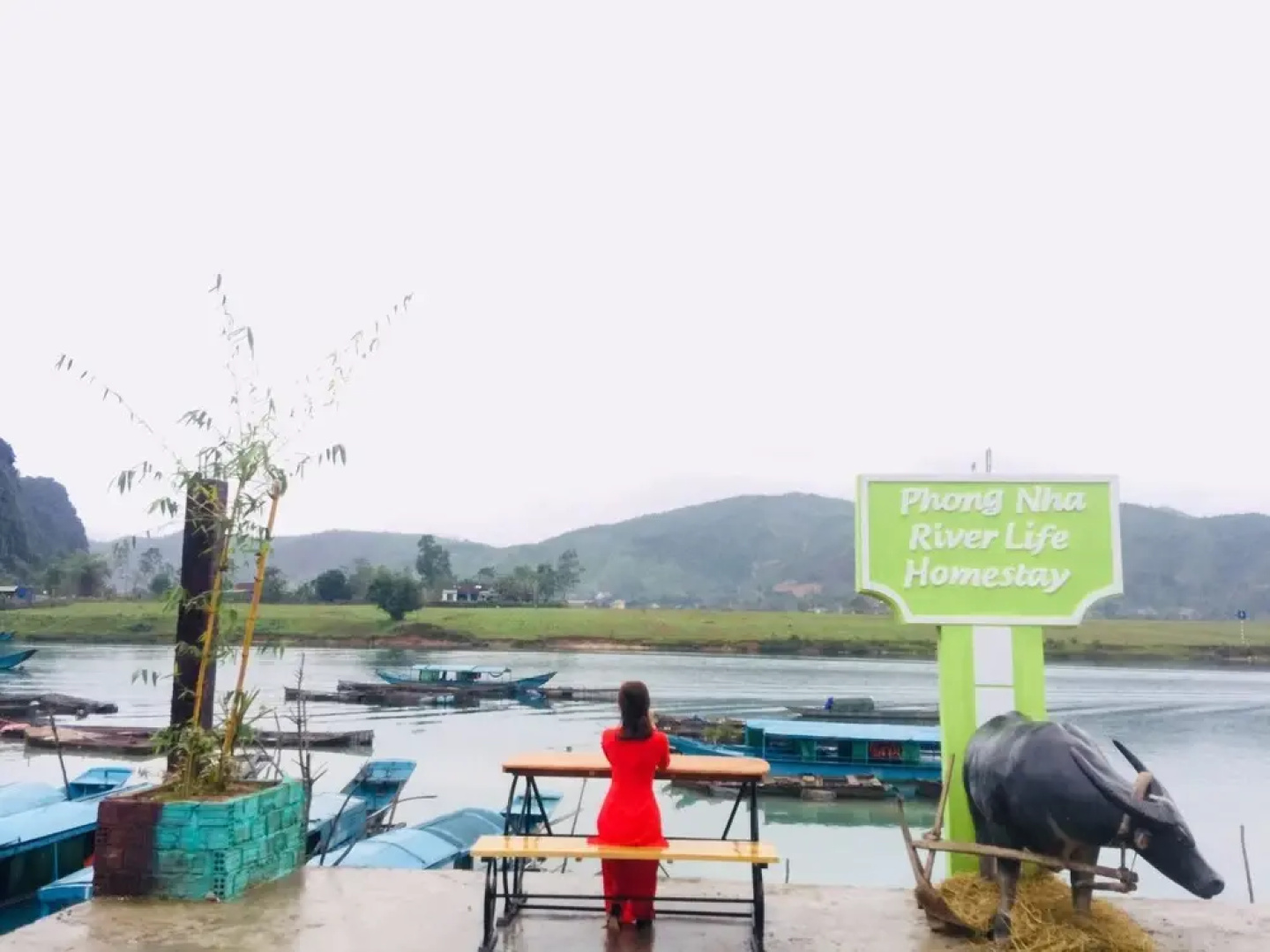 Phong Nha Riverlife Homestay - Hostel