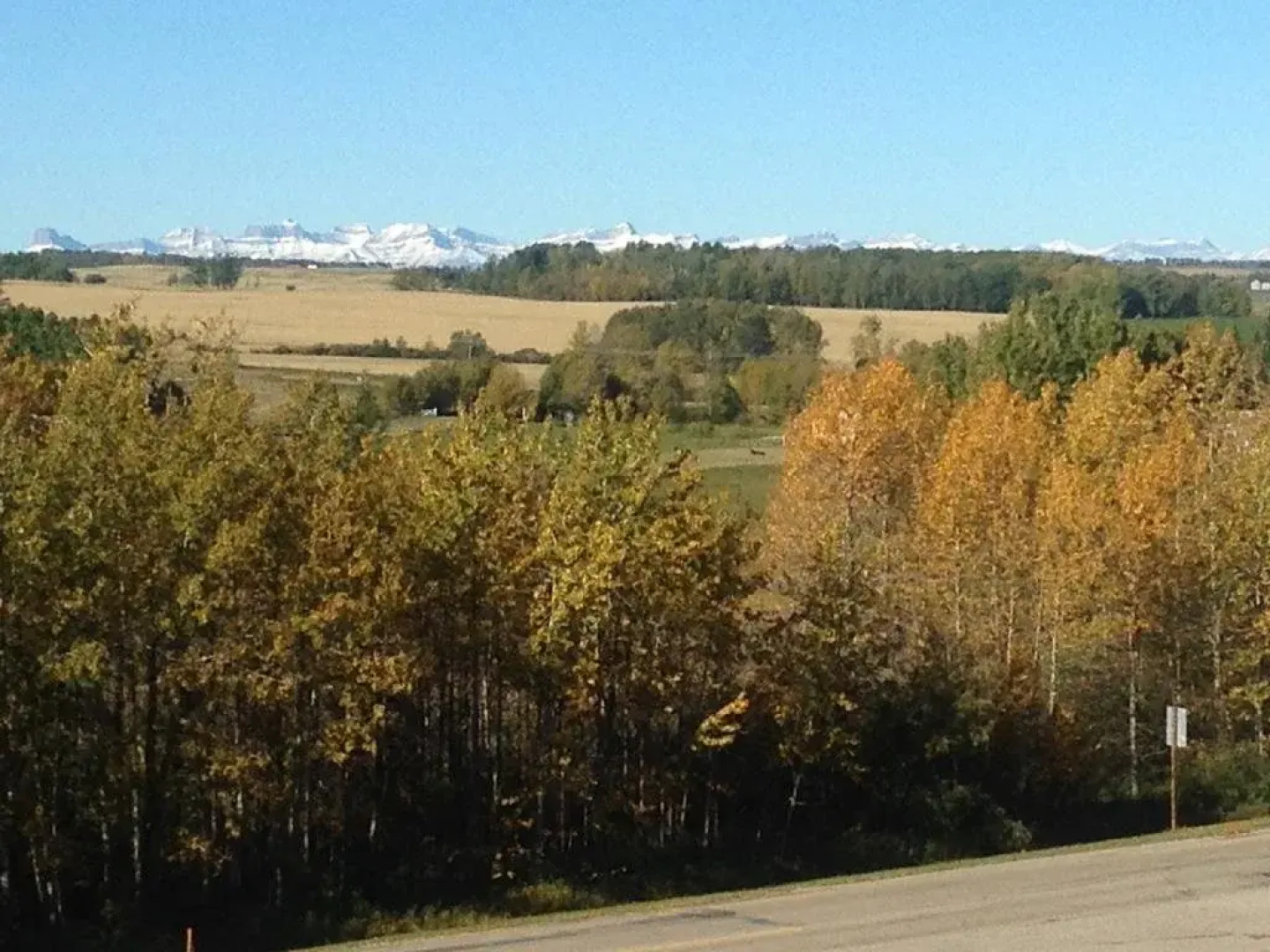 Serenity Hillside B&B