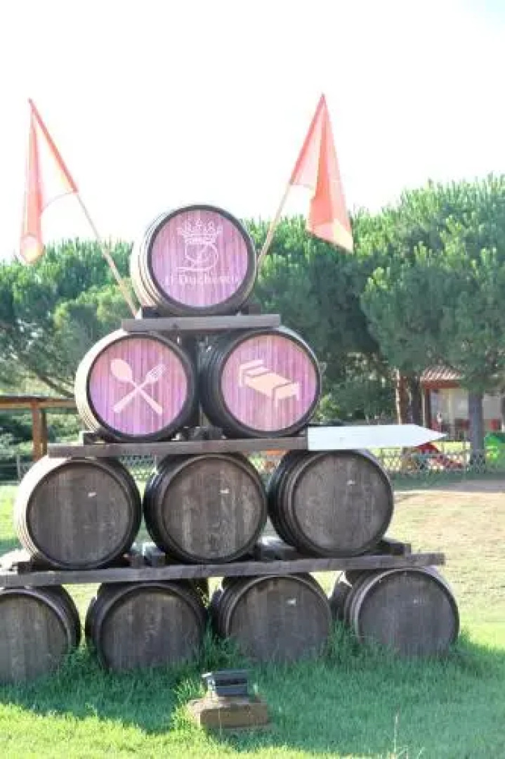 Fattoria il Duchesco