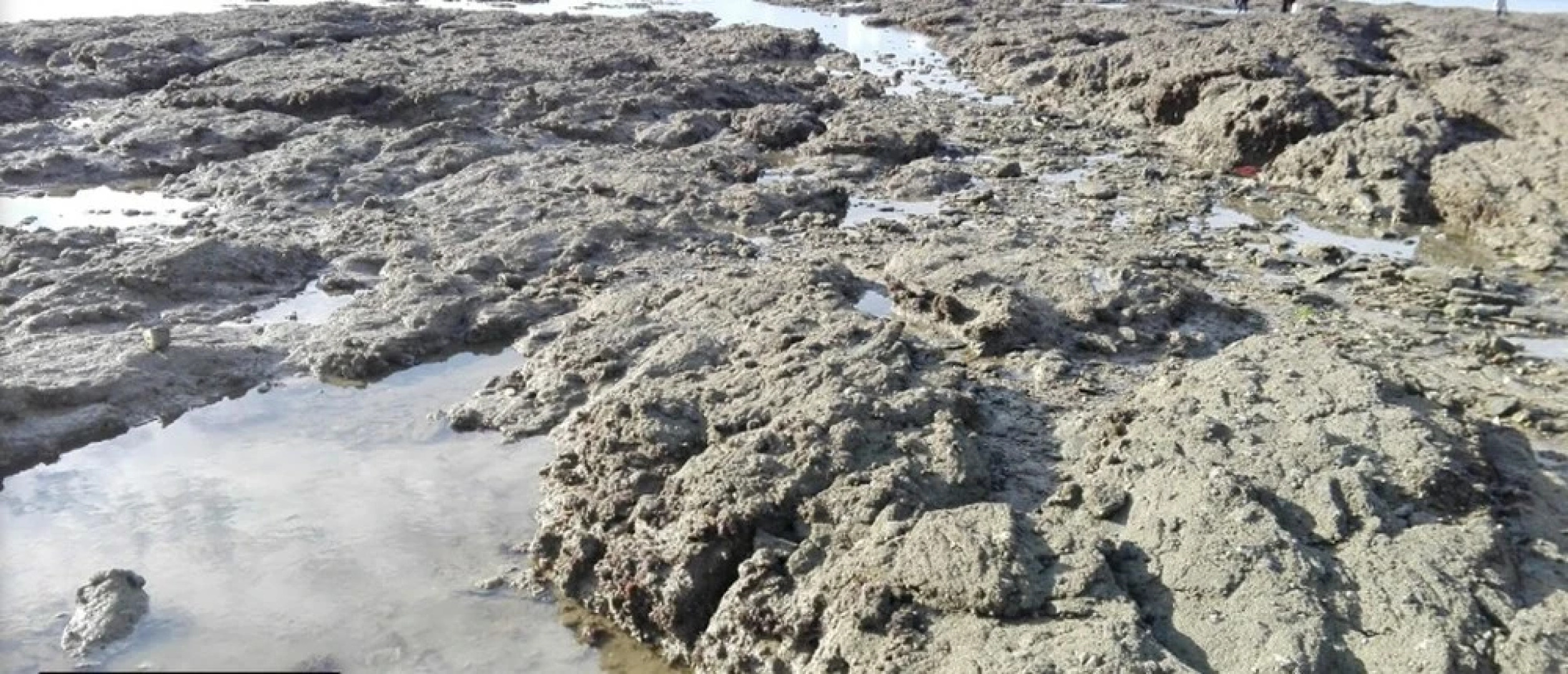 House With 4 Bedrooms in Damgan, With Enclosed Garden - 200 m From the