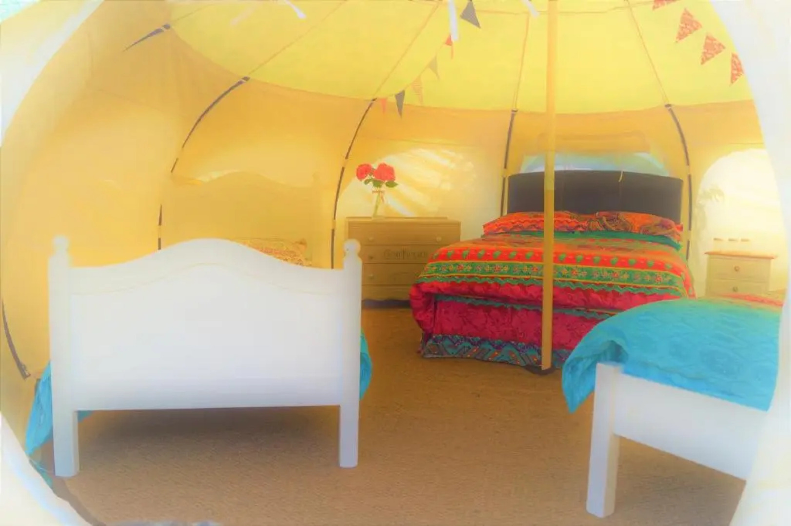 Loire Valley Llama Farm Stay