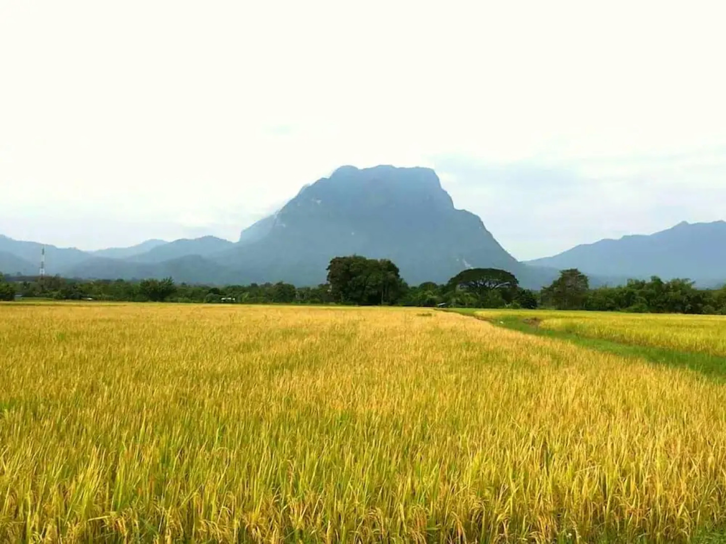 Saranghae Resort Chiang Dao