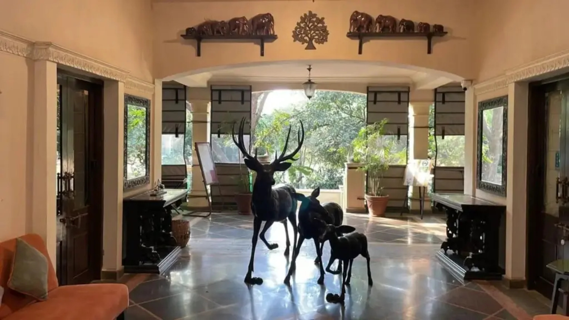 Irai Safari Retreat
