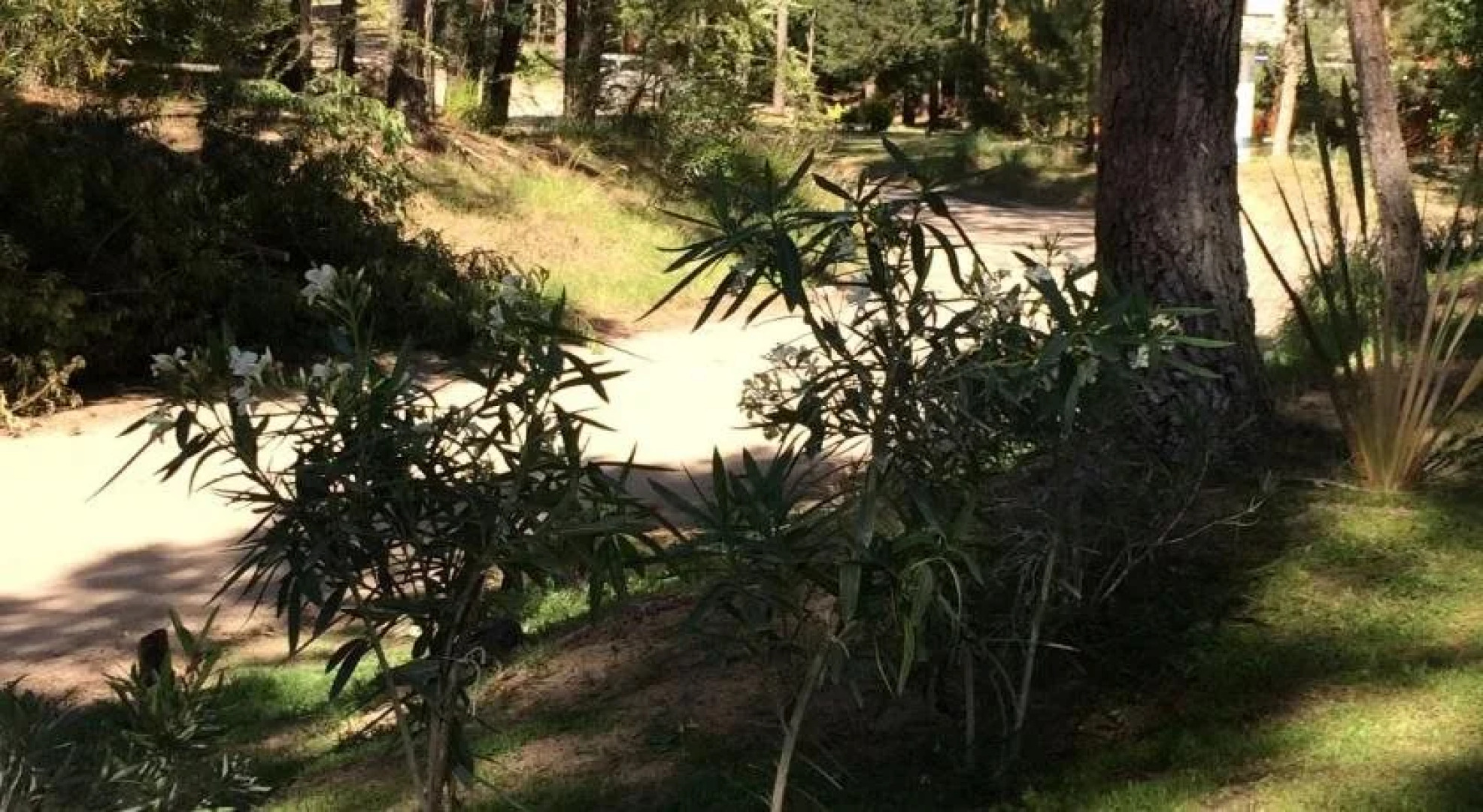 Rincon De Las Pampas