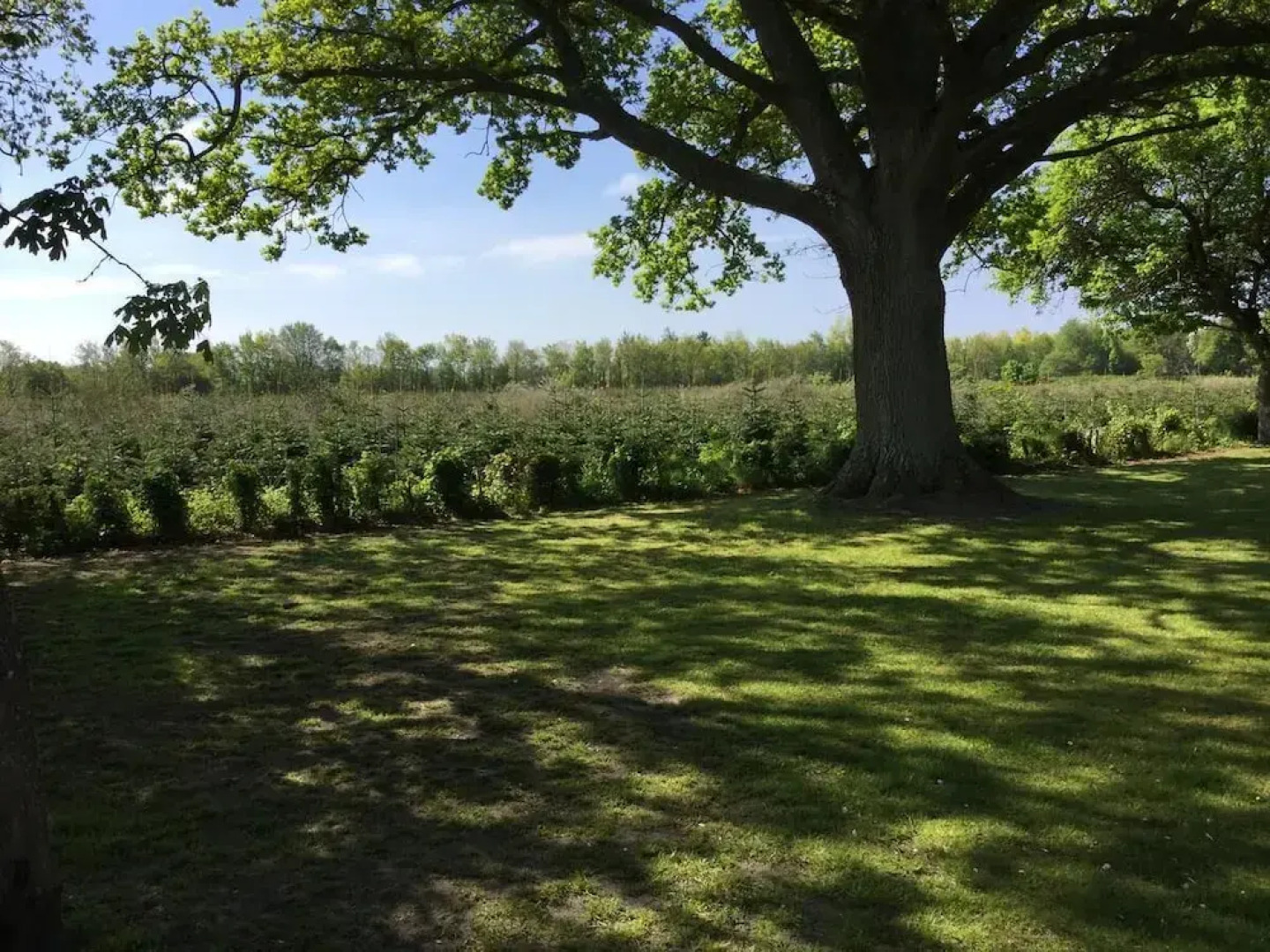 Gammelgaard Feriecenter