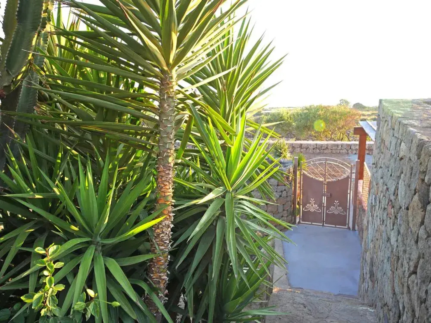 Tgi Dammusi Preziosi