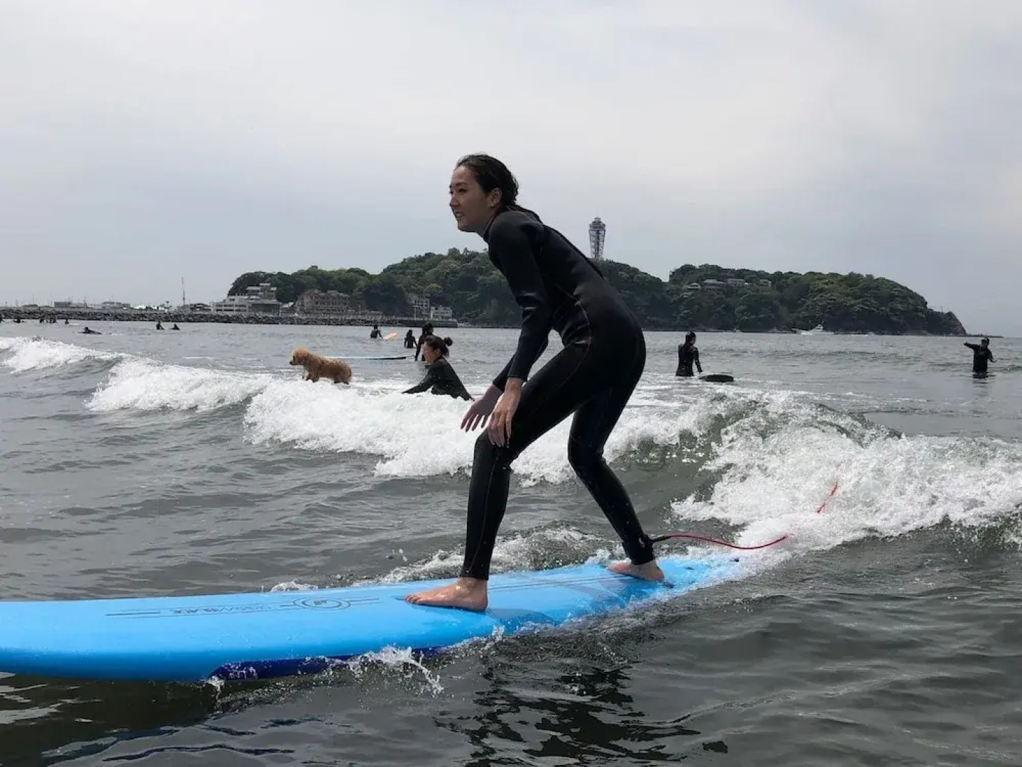 Guest House e-SHIP - Hostel