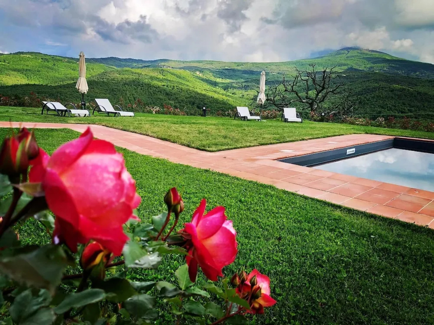 Terre di GIORGIO - Agriturismo Villa la Palazzetta